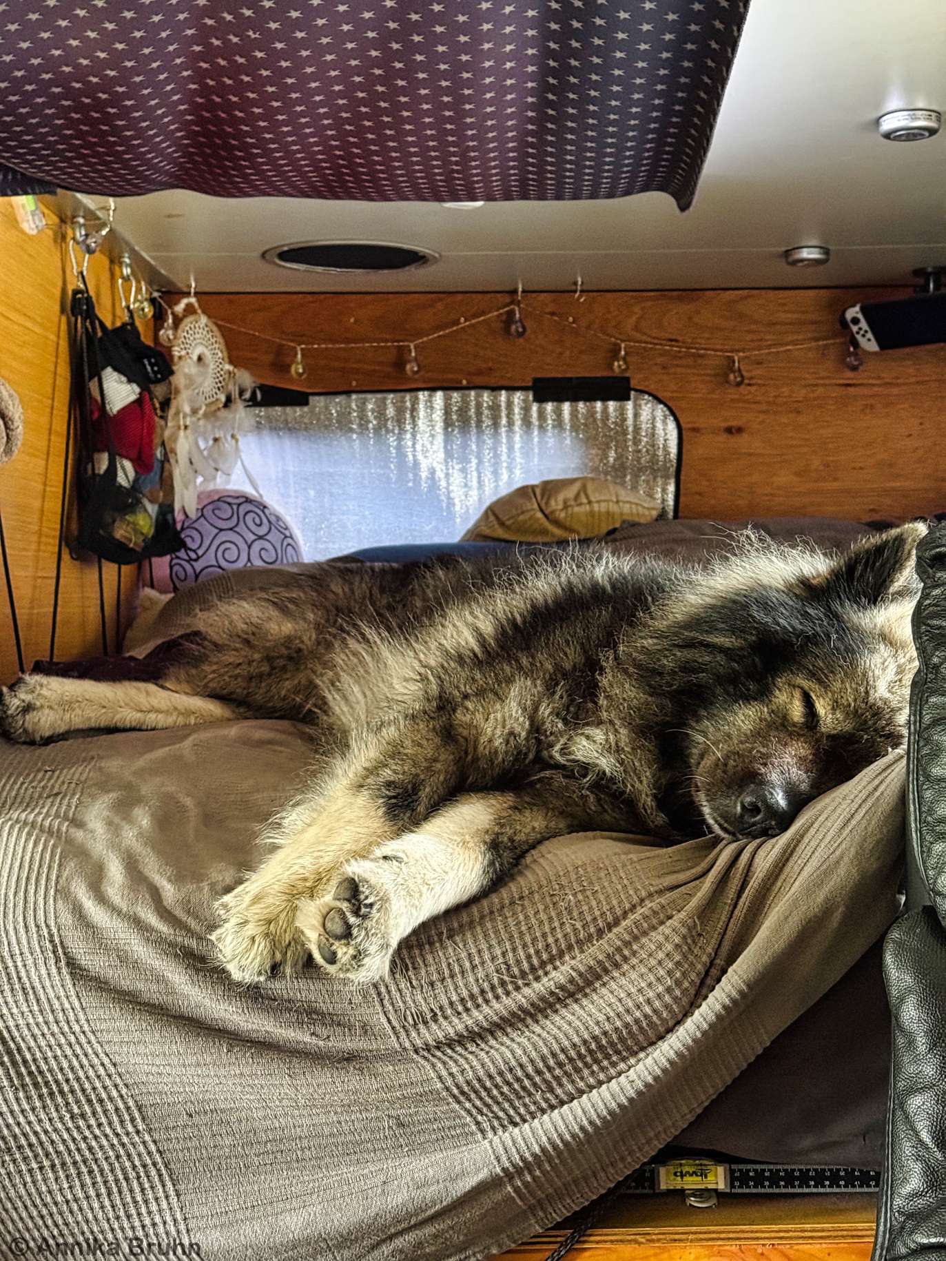 Zwischen den gewitter Pausen kann man mal im Bett etwas schlafen